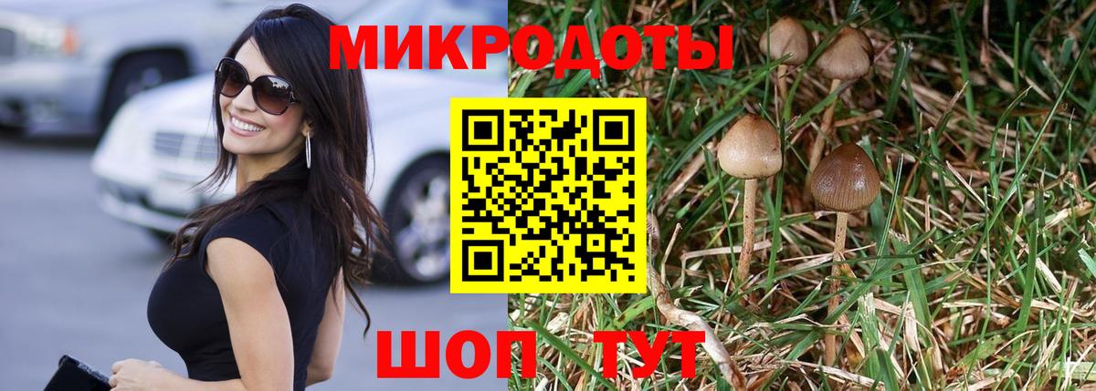 Калининград  Псилоцибиновые грибы GOLDEN TEACHER  Вход с VPN 